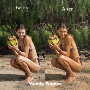 Mobile & Desktop Presets