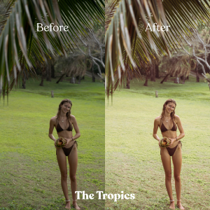 Mobile & Desktop Presets