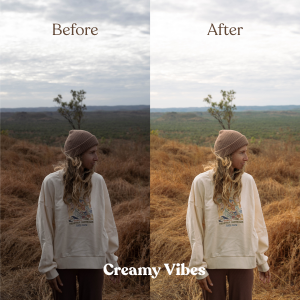 Mobile & Desktop Presets